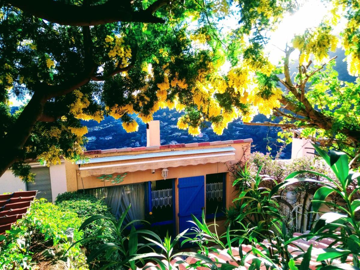 Nouveau ! Chambre D'Hote Insolite Privee " Coeurs De Pirates A Bali En Provence" Spa Sauna Massages Dans Cadre Exotique D'Amenagements Exterieurs D'Exception Ete Comme Hiver Bienvenue !!! 카발레르쉬르메르 외부 사진
